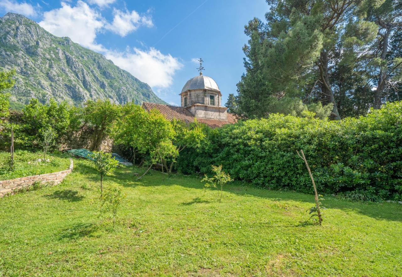 Organic Garden Апартаменты